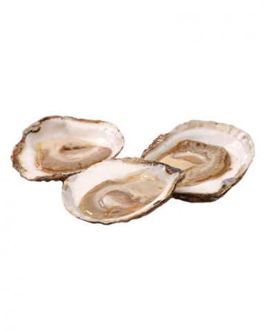 Oesters (plat)